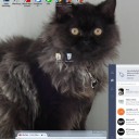 สมาชิกหมายเลข 1698350