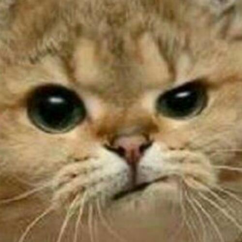 สมาชิกหมายเลข 4123447