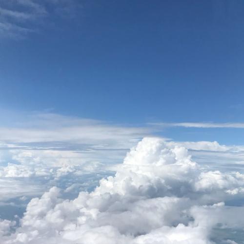 สมาชิกหมายเลข 4819806