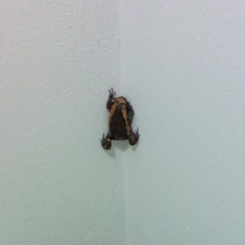 สมาชิกหมายเลข 4830527