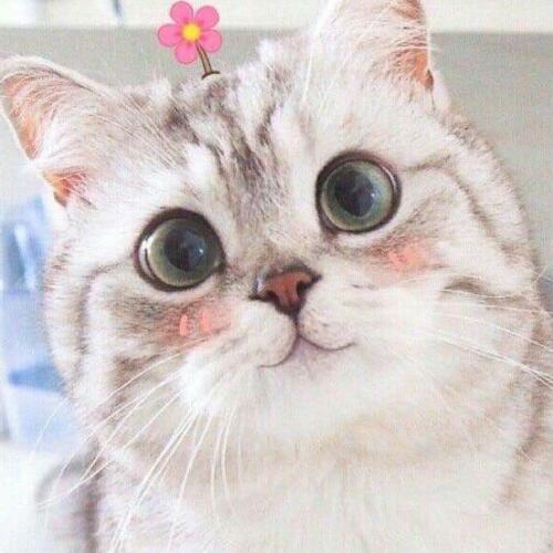 สมาชิกหมายเลข 4831757