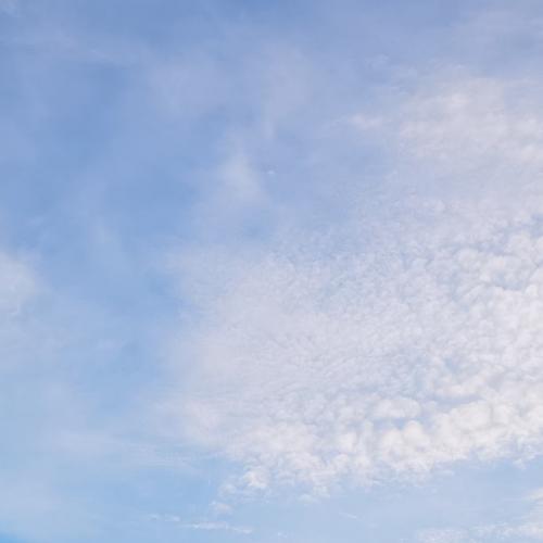 สมาชิกหมายเลข 773390