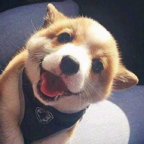 สมาชิกหมายเลข 4964724