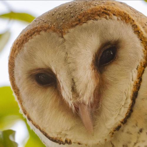 สมาชิกหมายเลข 1061264