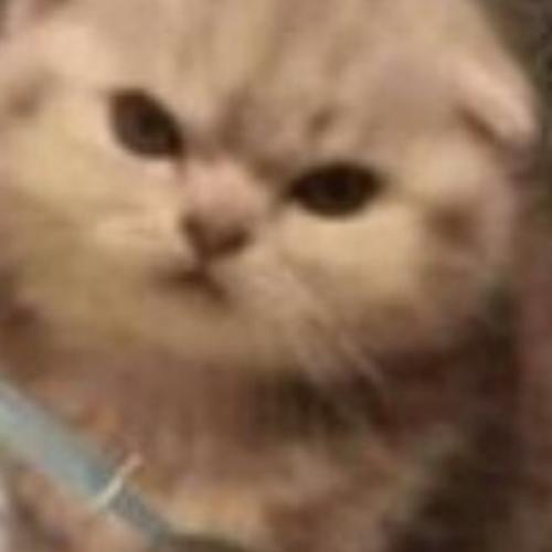 สมาชิกหมายเลข 2399507