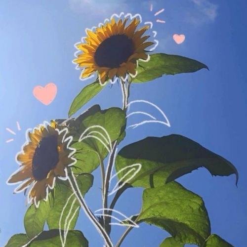 สมาชิกหมายเลข 6218209