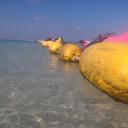 สมาชิกหมายเลข 3420515