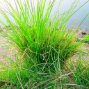 สมาชิกหมายเลข 4041293