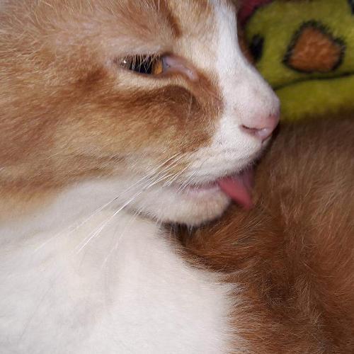 สมาชิกหมายเลข 4830946