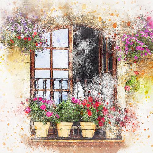 สมาชิกหมายเลข 4832018