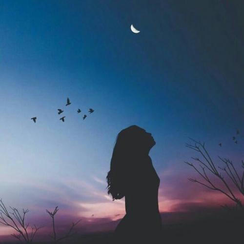 สมาชิกหมายเลข 3878041