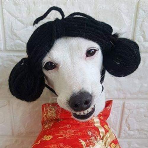 สมาชิกหมายเลข 4682150