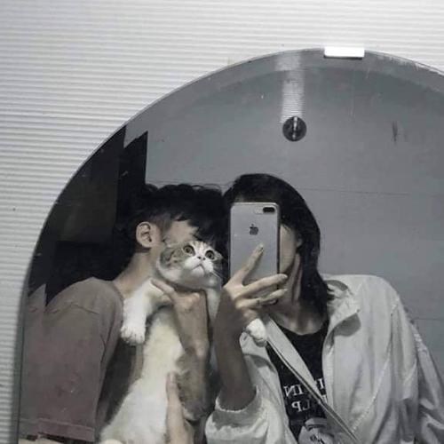 สมาชิกหมายเลข 5113881