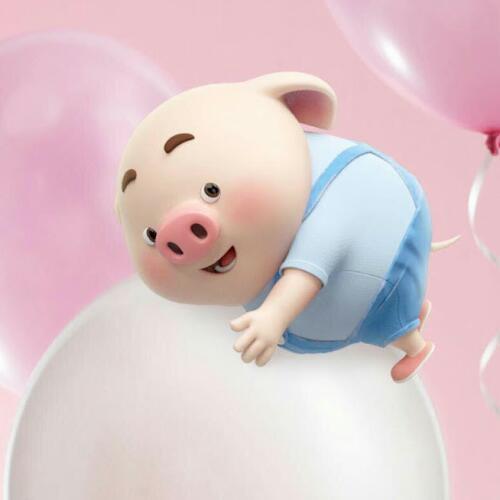 สมาชิกหมายเลข 5635718