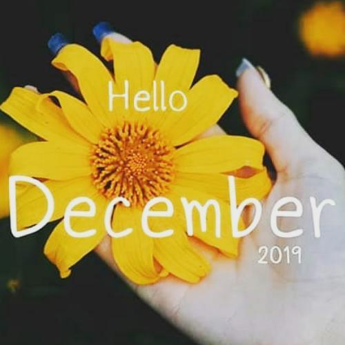 สมาชิกหมายเลข 5637085