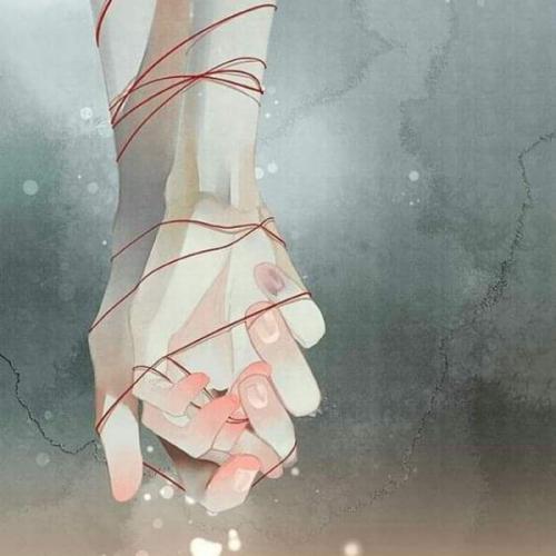 สมาชิกหมายเลข 5637618