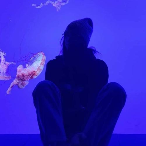 สมาชิกหมายเลข 5638125