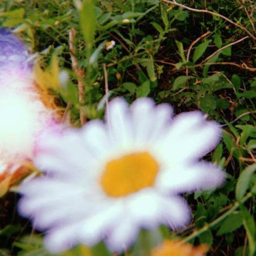 สมาชิกหมายเลข 3736532