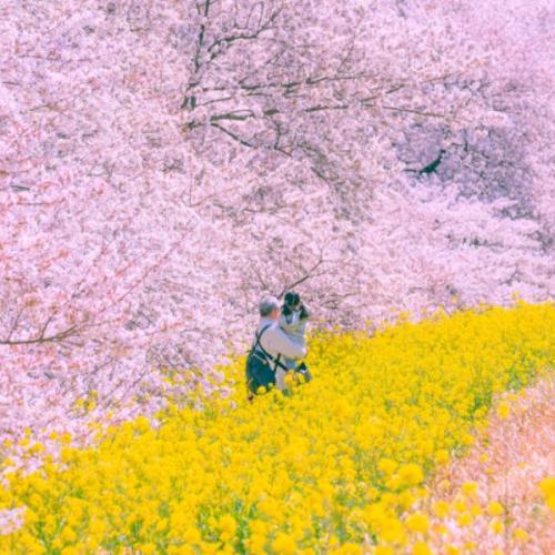 สมาชิกหมายเลข 6194884