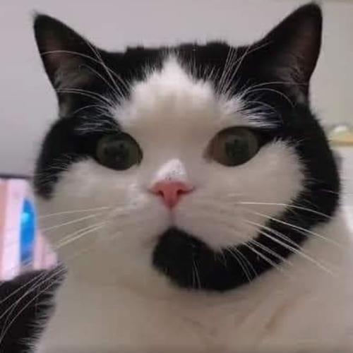 สมาชิกหมายเลข 7621012