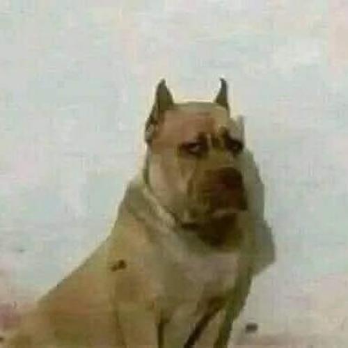 สมาชิกหมายเลข 6877815