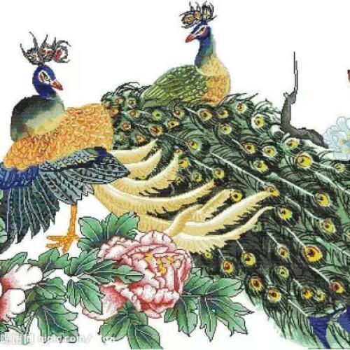 สมาชิกหมายเลข 4832449