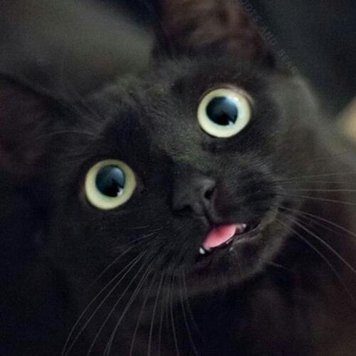 สมาชิกหมายเลข 5217577