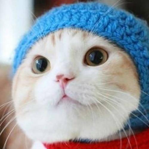 สมาชิกหมายเลข 5358301