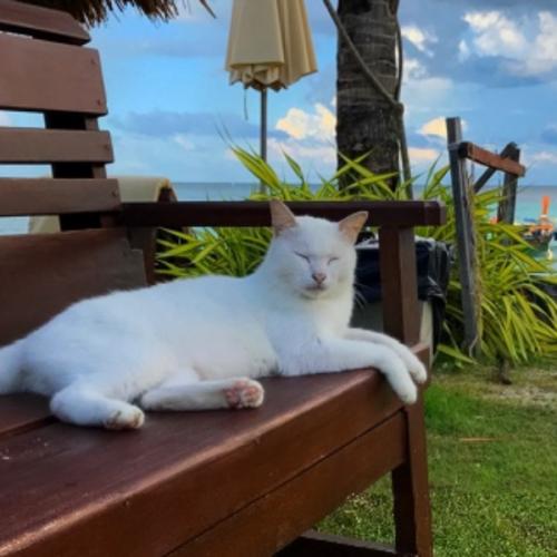 สมาชิกหมายเลข 6207755