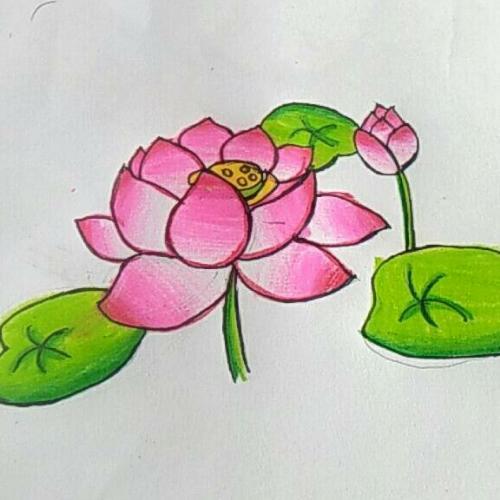 สมาชิกหมายเลข 5407475