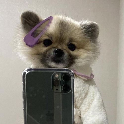 สมาชิกหมายเลข 6855177