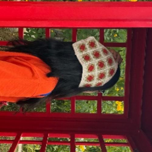 สมาชิกหมายเลข 6684892