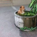 สมาชิกหมายเลข 1055126