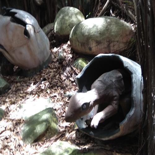 สมาชิกหมายเลข 4560227