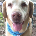 สมาชิกหมายเลข 905477