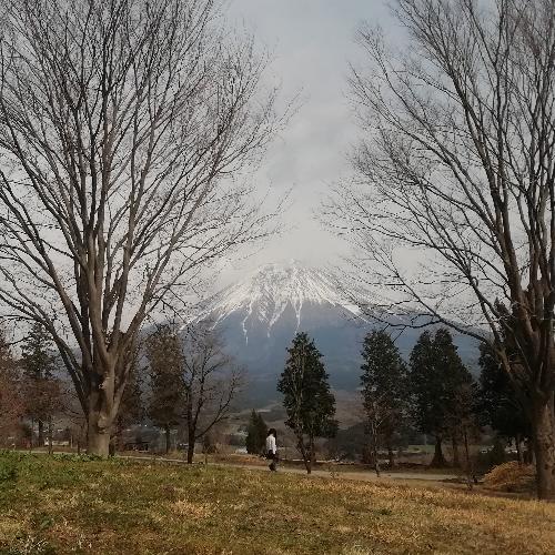 สมาชิกหมายเลข 4263770