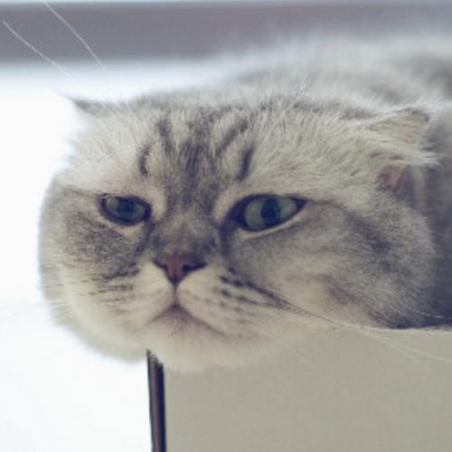 สมาชิกหมายเลข 3090872