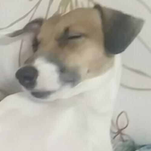 สมาชิกหมายเลข 5217611