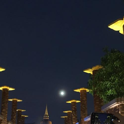 สมาชิกหมายเลข 5639174