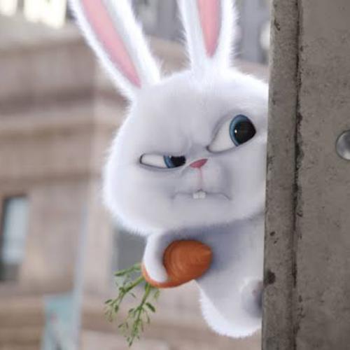 สมาชิกหมายเลข 2580574