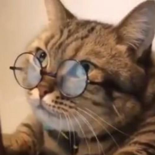 สมาชิกหมายเลข 2882748