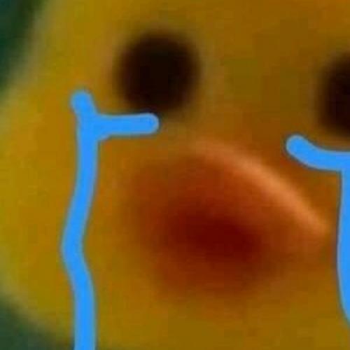 สมาชิกหมายเลข 5335107