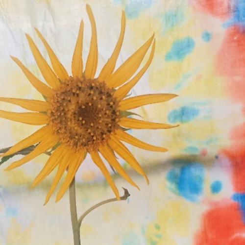 สมาชิกหมายเลข 3415388