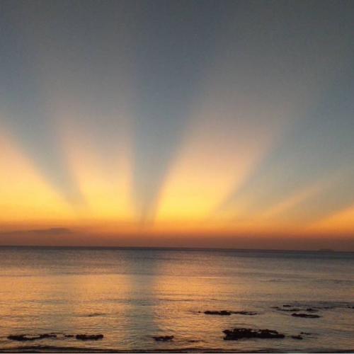 สมาชิกหมายเลข 1004338