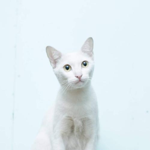 สมาชิกหมายเลข 7562784