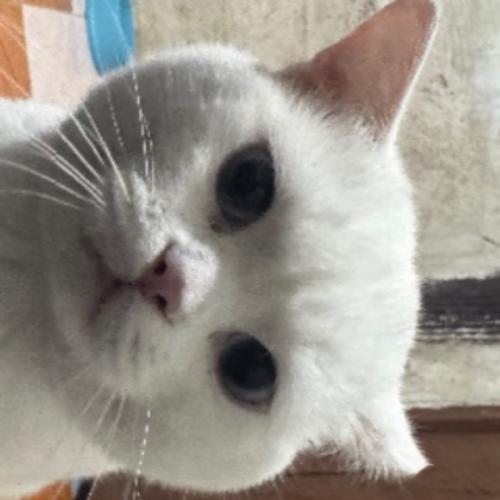 วายุในสายลม