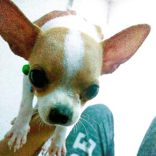 สมาชิกหมายเลข 1444882