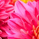 สมาชิกหมายเลข 3087527