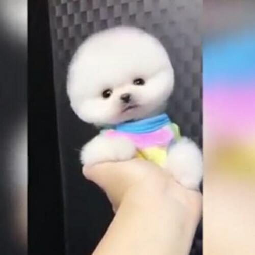 สมาชิกหมายเลข 4500217