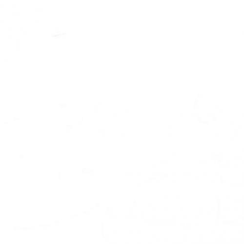 สมาชิกหมายเลข 5218809